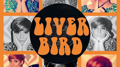 Liver Bird Tribute (Cilla)
